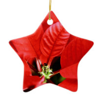 Red and Green Christmas Poinsettia ornaments