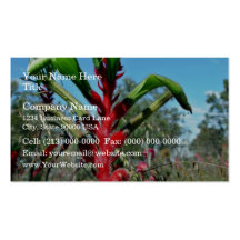 Red and green kangaroo paw flower business cards