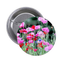 Red and Pink Poppies