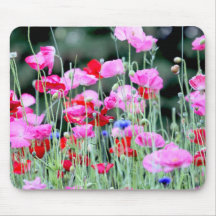 Red and Pink Poppies Mousepad