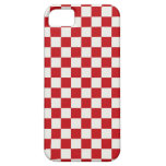 Red and White Chequered Pattern Country BBQ Colour Case For The iPhone 5