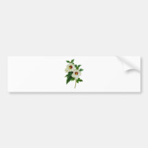 Red and White Hibiscus by Pierre Joseph Redoute Bumper Sticker