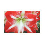 red and white lily flowers canvas print