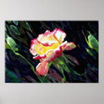 Red and white rose and buds, incandescent water gl poster
