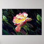 Red and white rose and buds, incandescent water gl print