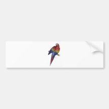 Red and Yellow Maccaw by Edward Lear Bumper Stickers