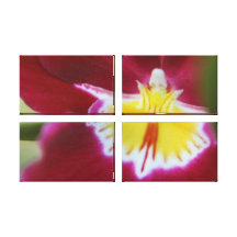 Red and Yellow Orchid Gallery Wrapped Canvas
