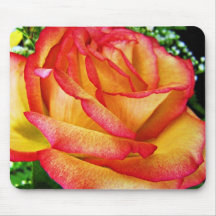 red and yellow rose mouse pad