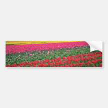 Red And Yellow Tulip Field flowers Bumper Sticker
