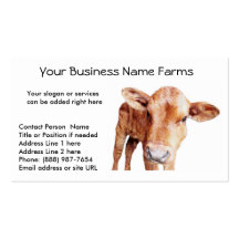 Red Angus Cow Business Card Template