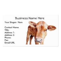 Red Angus Cow Business Card Template
