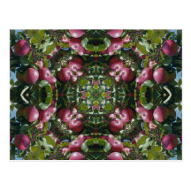 Red Apples On Tree Kaleidoscope Art Postcar Postcard