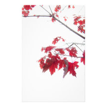 red autumn leaves on a branch stationery