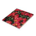 Red Beauties Tiles
