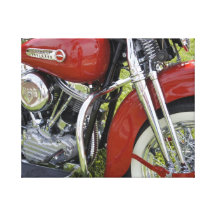 Red Beauty Gallery Wrapped Canvas
