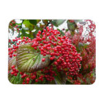 Red Berries Rectangular Magnet