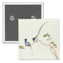 Red-billed blue magpies,a branch red berries buttons