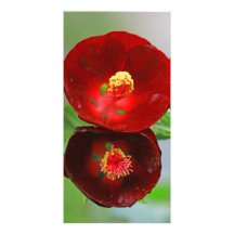 Red Bloom Photocard Picture Card