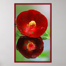 Red Bloom Poster