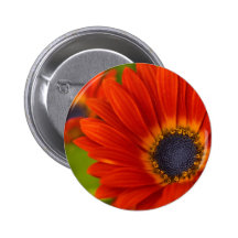 Red Button Button