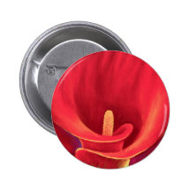 Red Cala Lily Tropical Flower Art - Multi Pinback Buttons