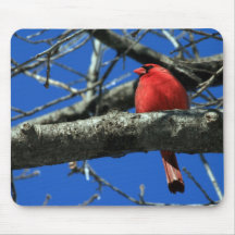 Red Cardinal Mousepad