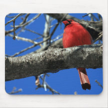 Red Cardinal Mousepad