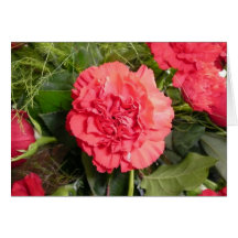 Red Carnation Cards