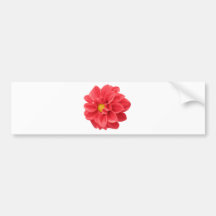Red Dahlia Bumper Sticker