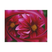 Red Dahlia Canvas Prints
