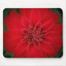 Red Dahlia Mouse Pads
