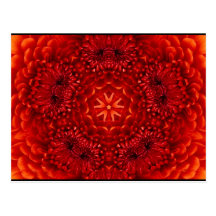 RED DAHLIA POSTCARD