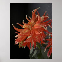 Red Dahlia Poster