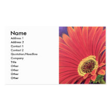 Red Daisy Flower Painting - Multi Business Card Templates