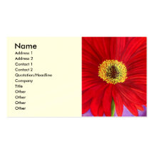 Red Daisy Gerber Flower Painting Art - Multi Business Card Template