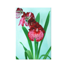 Red "Dancing Ladies" Flowers Wrapped Canvas Canvas Print