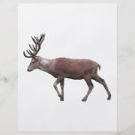 Red Deer. Personalized Flyer
