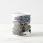 Red deer staring down. mugs