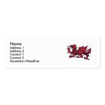 Red drag, Name, Address 1, Address 2, Contact 1... Business Cards
