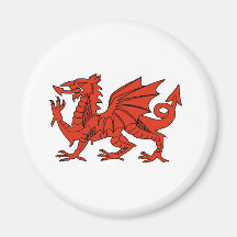 Red Dragon Fridge Magnets