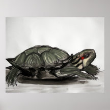 red eared slider posters