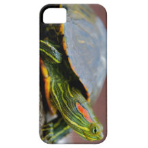 Red-eared Slider Side View iPhone 5 Cover