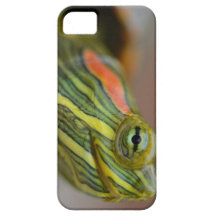 Red-eared Slider Turtle iPhone case