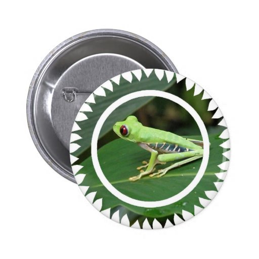 Red Eye Green Tree Frog Round Button