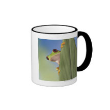 Red Eyed Tre Frog Peeking From Behind a Leaf Coffee Mugs