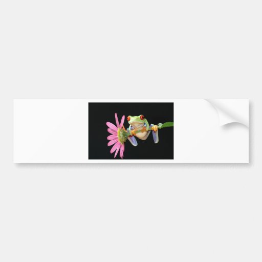 red eyed tree frog bumper sticker
