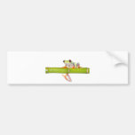 red eyed tree frog bumper stickers