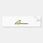 red eyed tree frog bumper stickers