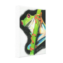 Red Eyed Tree Frog Canvas Print