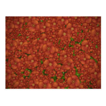 Red Field Postcards